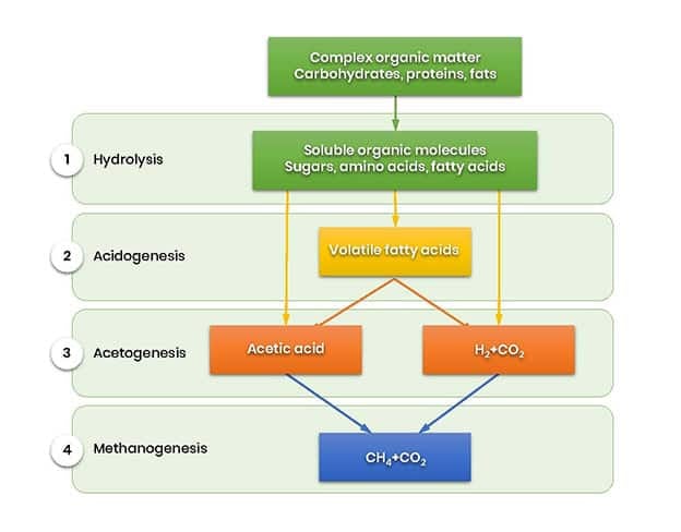 Stages of anaerobic digestion process. Methane production. Process chart of biogas production stages.